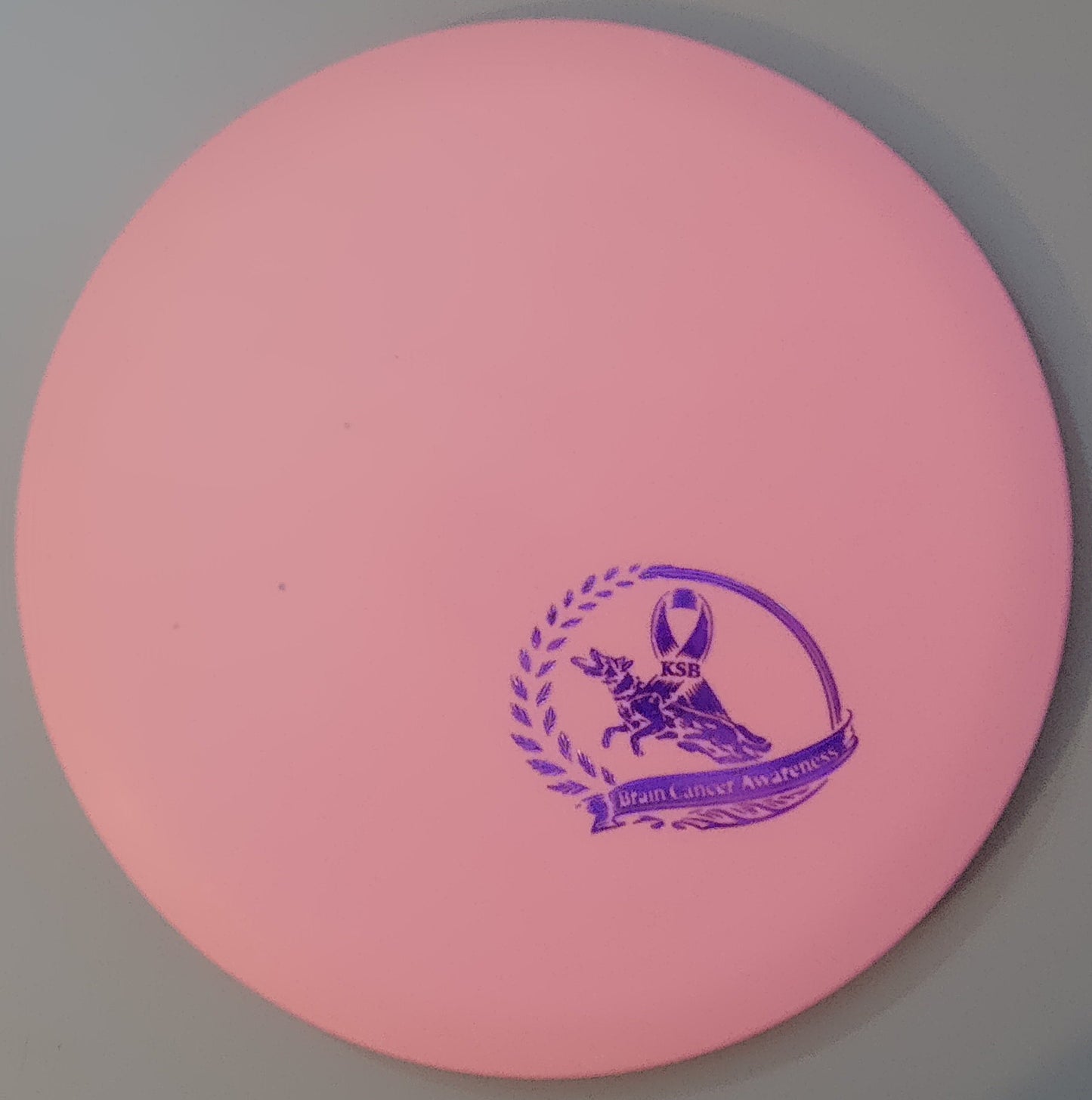 Brain Cancer Awareness SCCA Fundraiser Sure Grip Wayfinder