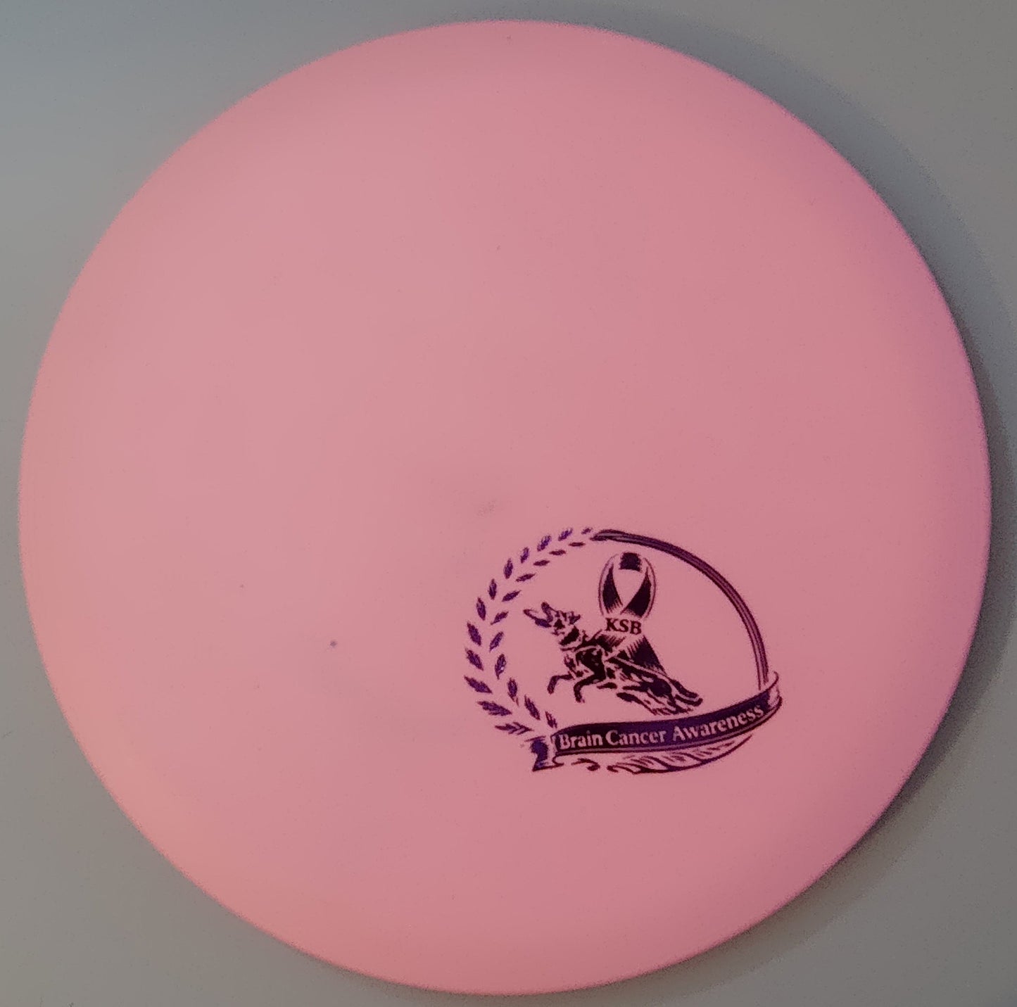 Brain Cancer Awareness SCCA Fundraiser Sure Grip Wayfinder