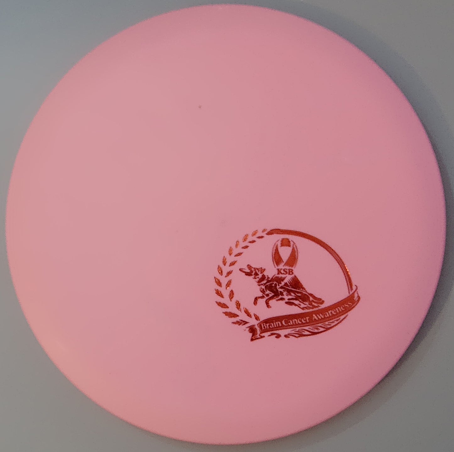 Brain Cancer Awareness SCCA Fundraiser Sure Grip Wayfinder