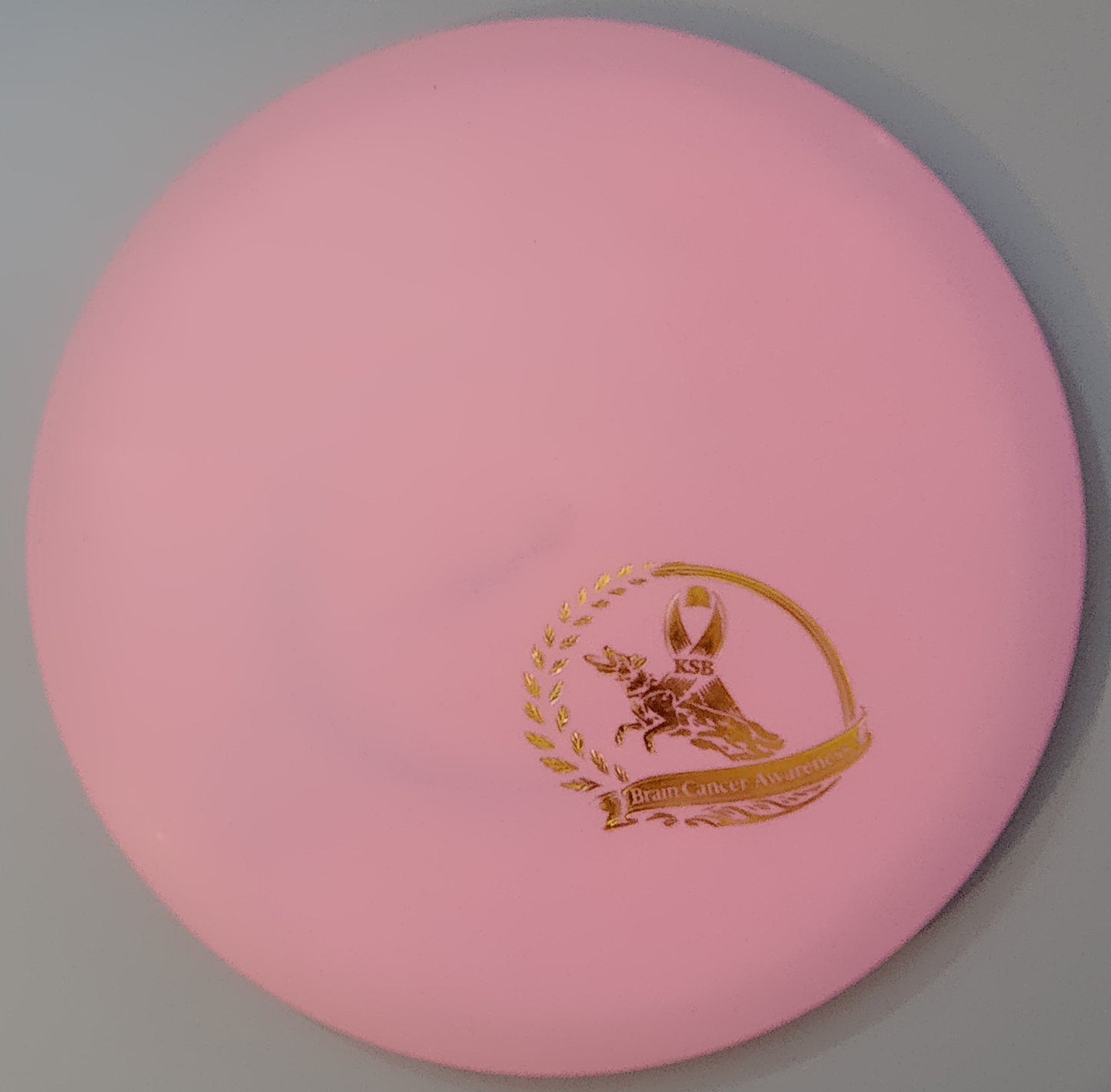 Brain Cancer Awareness SCCA Fundraiser Sure Grip Wayfinder