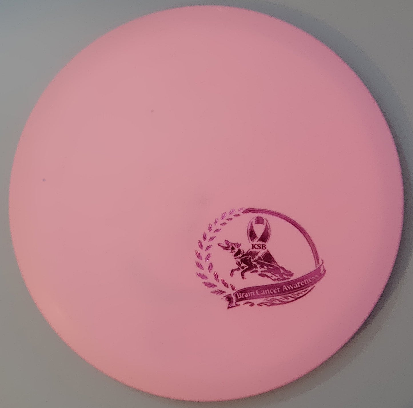 Brain Cancer Awareness SCCA Fundraiser Sure Grip Wayfinder
