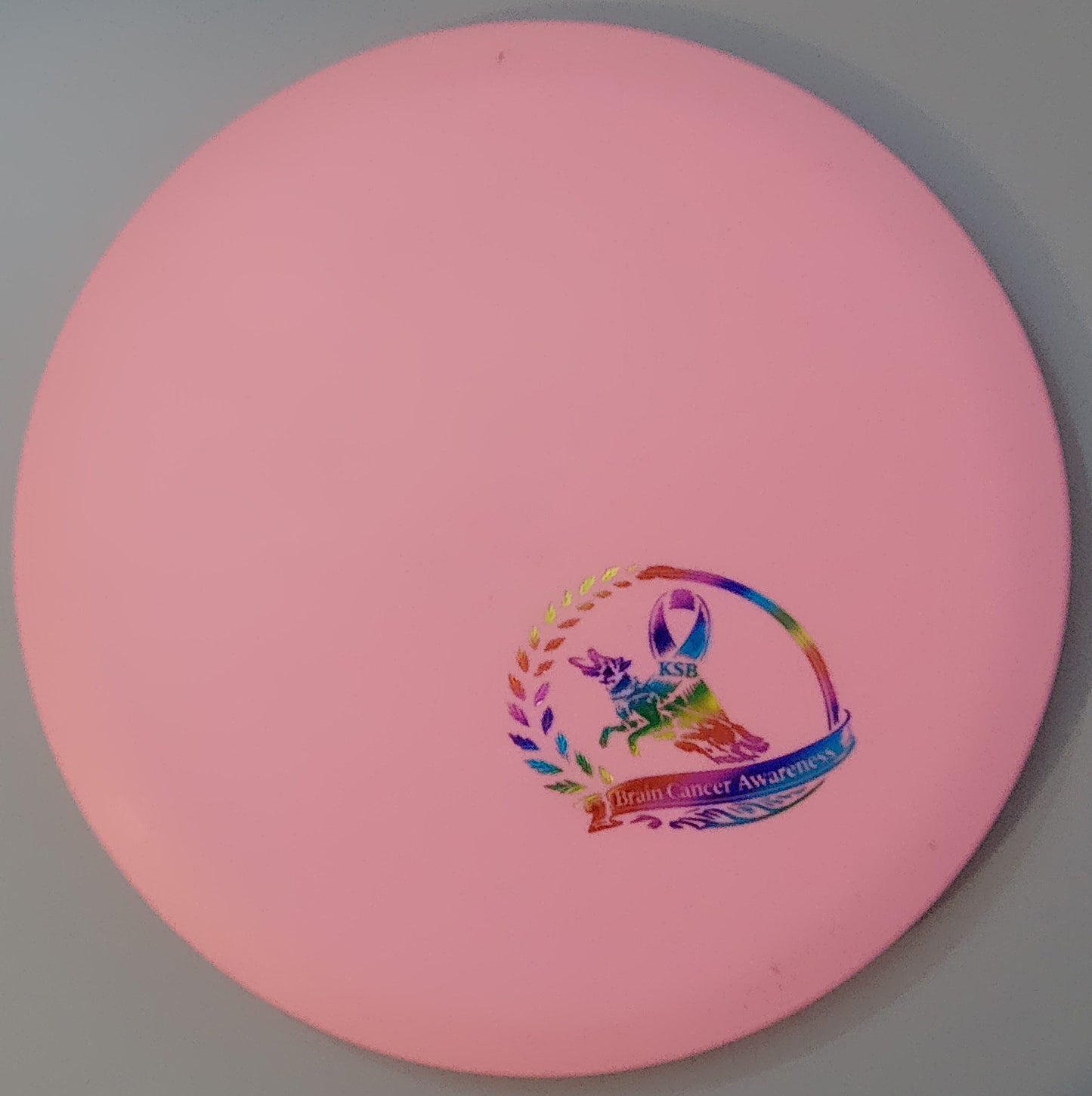 Brain Cancer Awareness SCCA Fundraiser Sure Grip Wayfinder