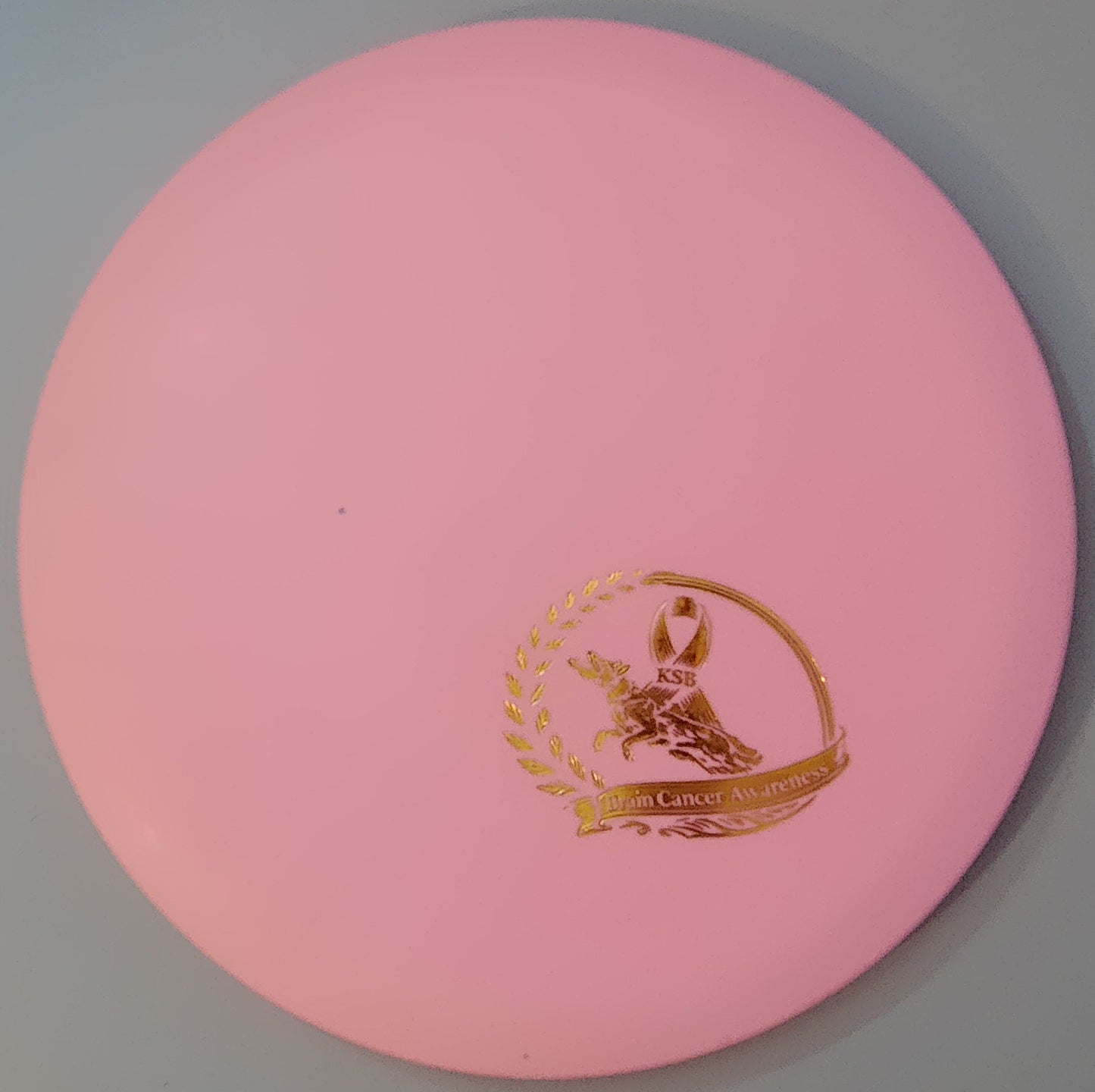 Brain Cancer Awareness SCCA Fundraiser Sure Grip Wayfinder