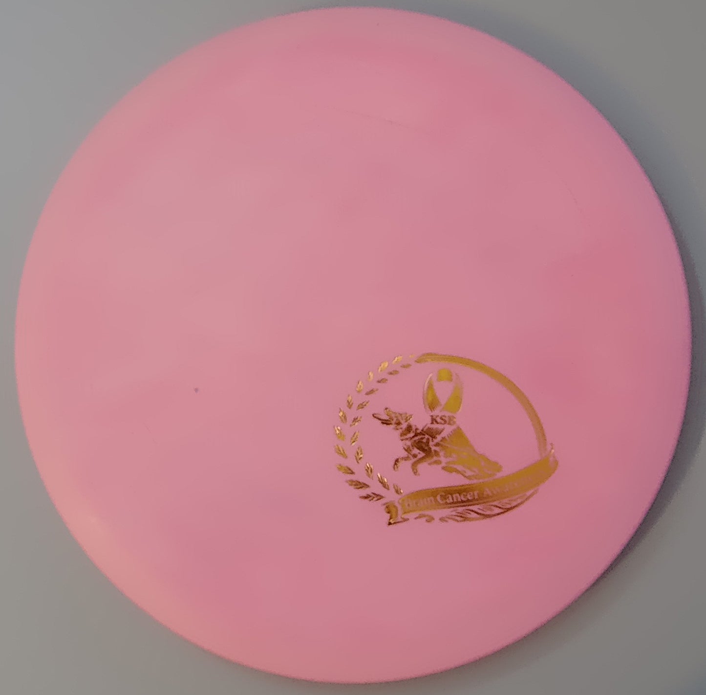 Brain Cancer Awareness SCCA Fundraiser Sure Grip Wayfinder