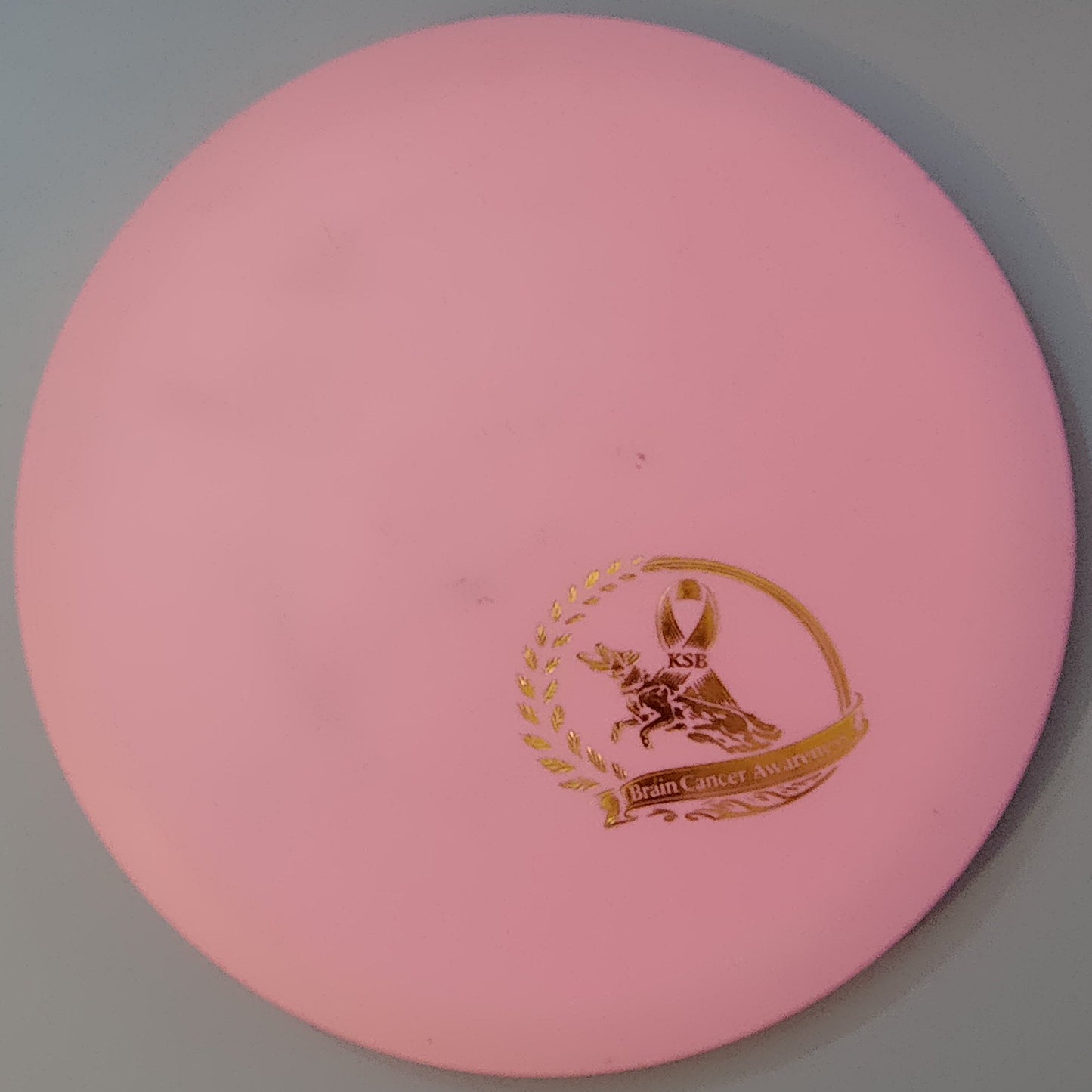 Brain Cancer Awareness SCCA Fundraiser Sure Grip Wayfinder