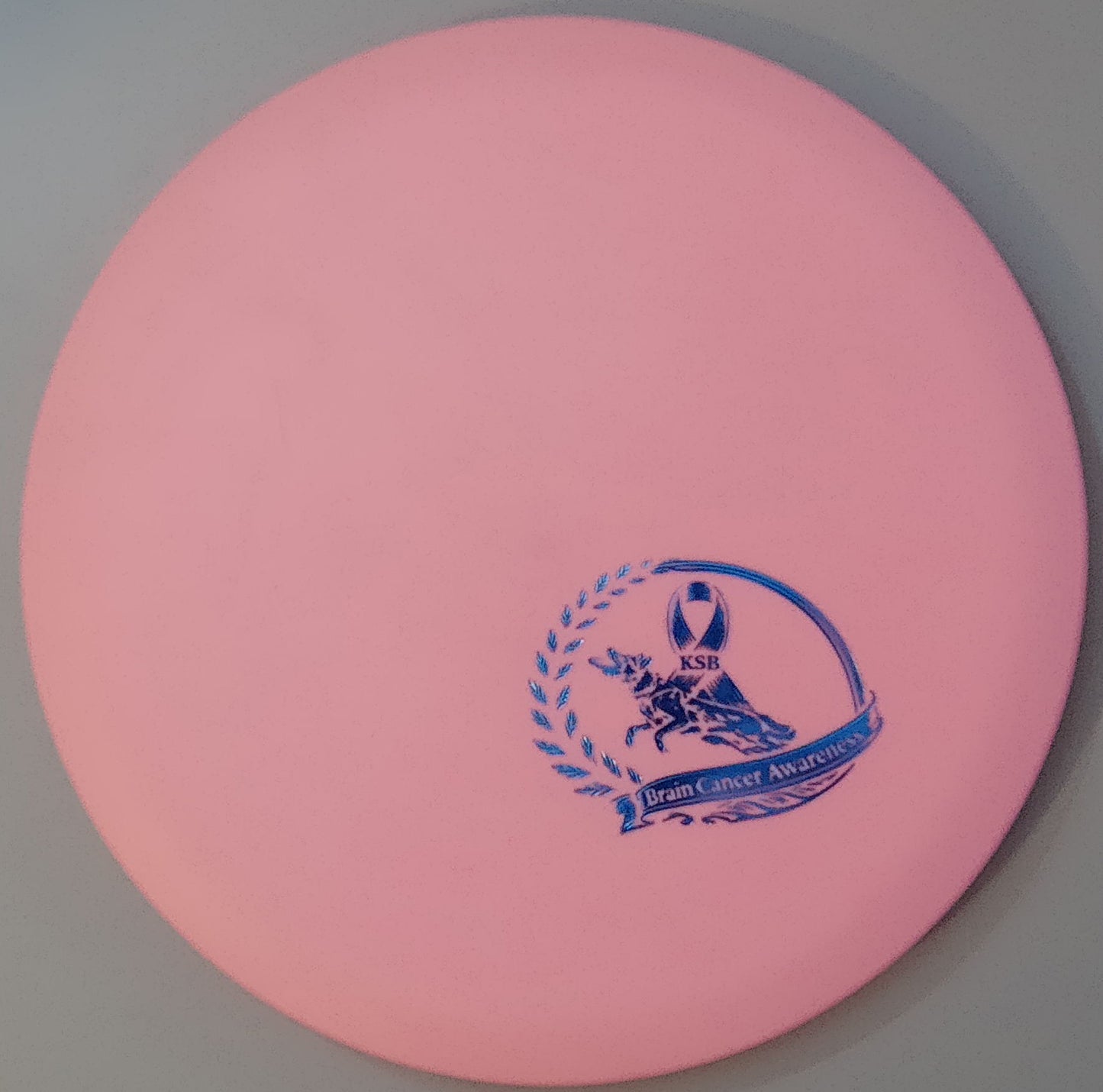 Brain Cancer Awareness SCCA Fundraiser Sure Grip Wayfinder