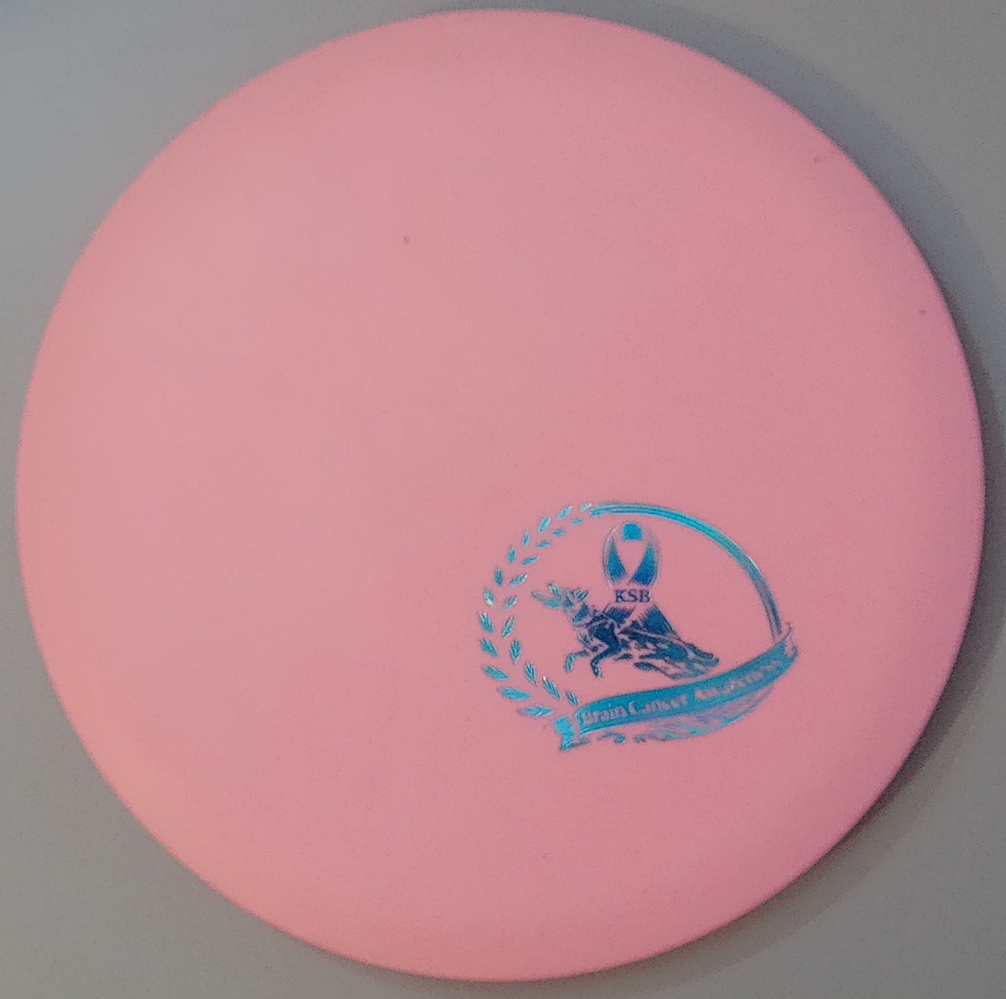Brain Cancer Awareness SCCA Fundraiser Sure Grip Wayfinder