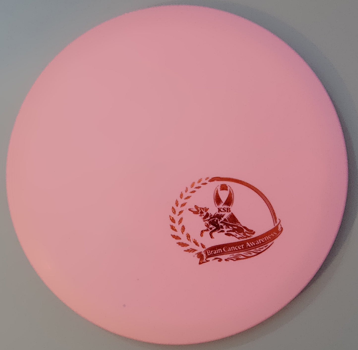 Brain Cancer Awareness SCCA Fundraiser Sure Grip Wayfinder