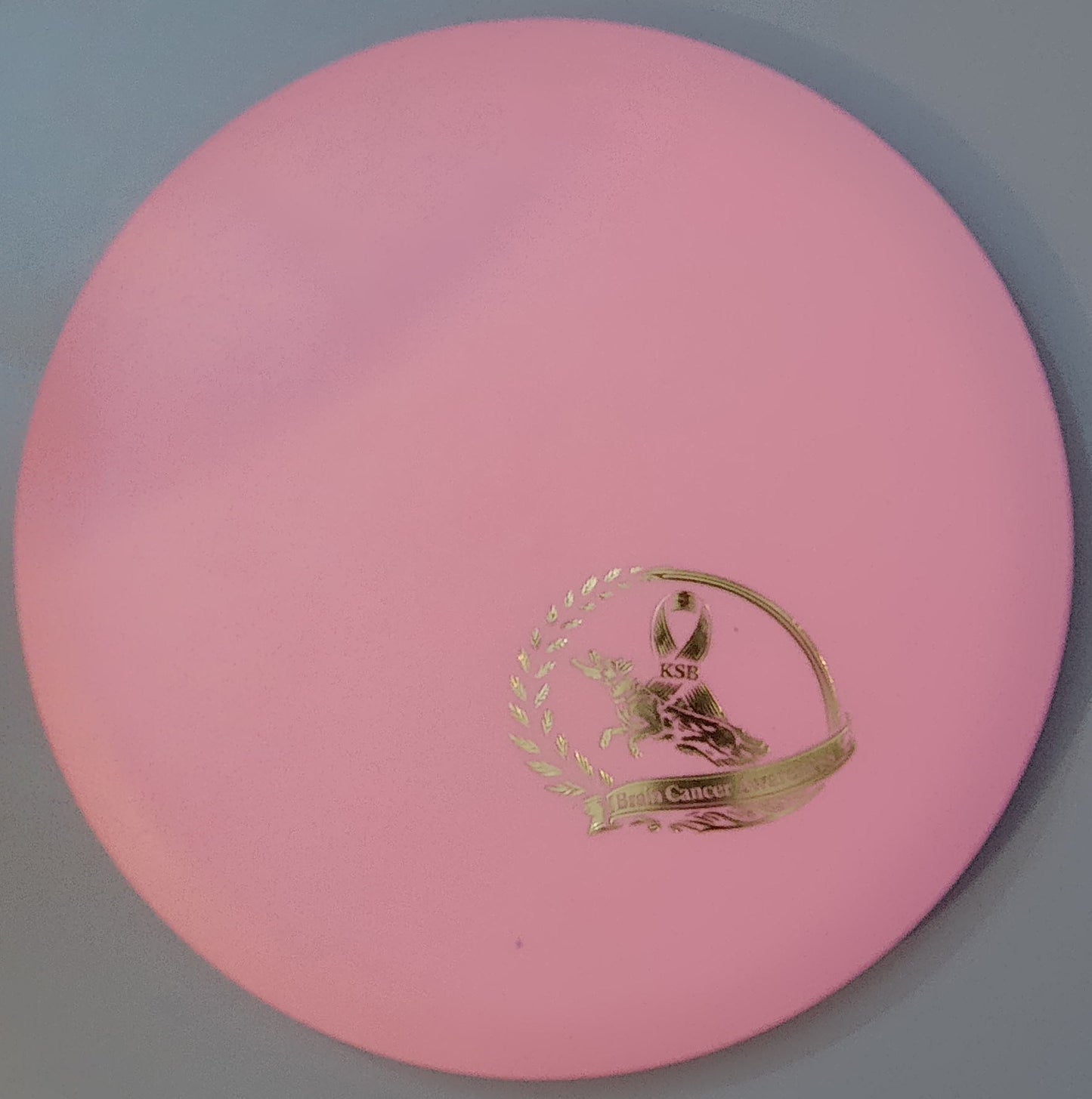 Brain Cancer Awareness SCCA Fundraiser Sure Grip Wayfinder