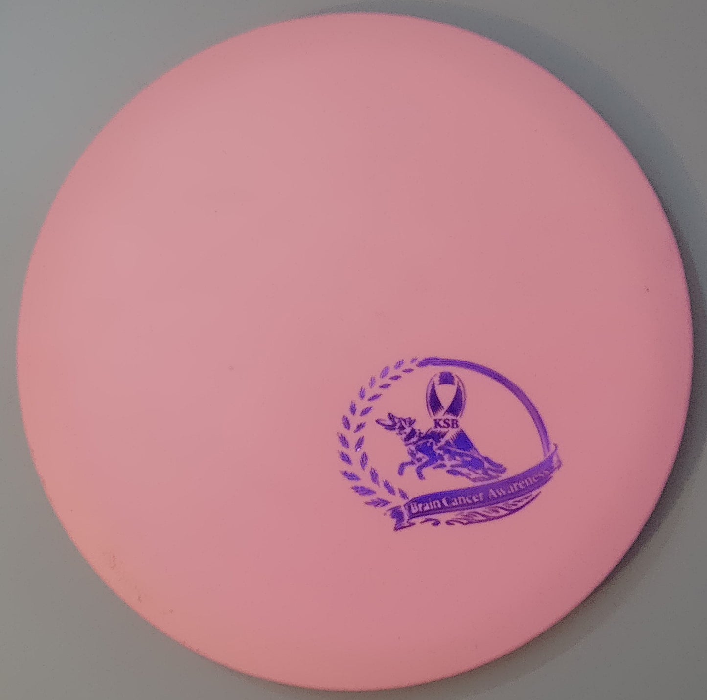 Brain Cancer Awareness SCCA Fundraiser Sure Grip Wayfinder