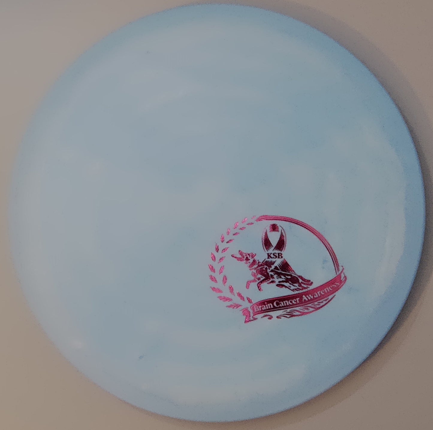 Brain Cancer Awareness SCCA Fundraiser Sure Grip Wayfinder