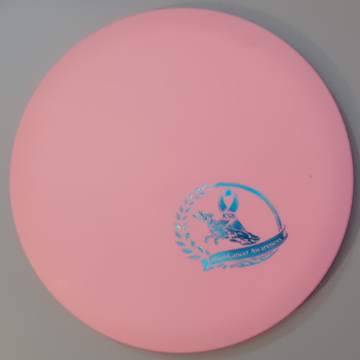 Brain Cancer Awareness SCCA Fundraiser Sure Grip Wayfinder