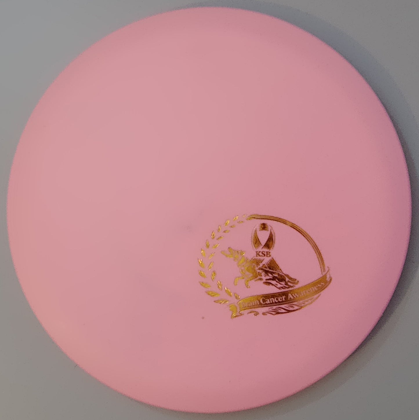 Brain Cancer Awareness SCCA Fundraiser Sure Grip Wayfinder