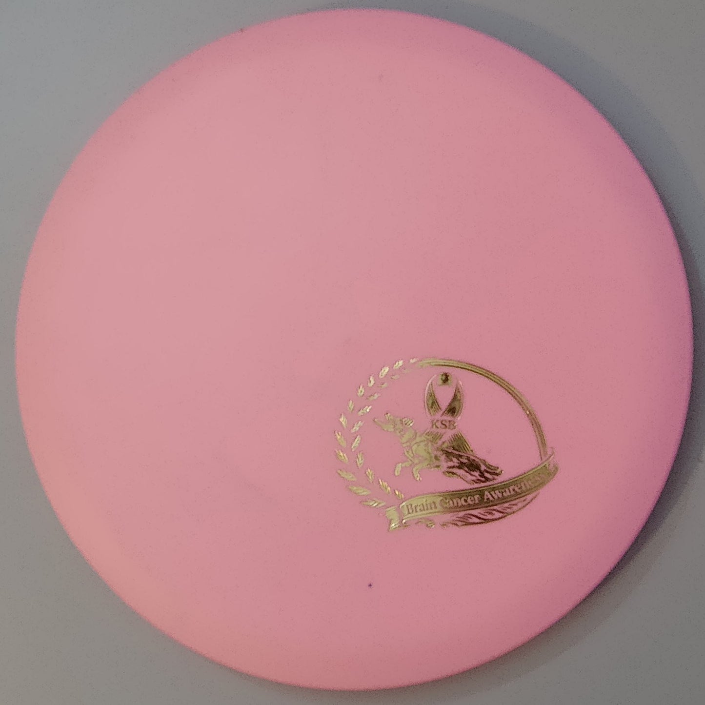 Brain Cancer Awareness SCCA Fundraiser Sure Grip Wayfinder