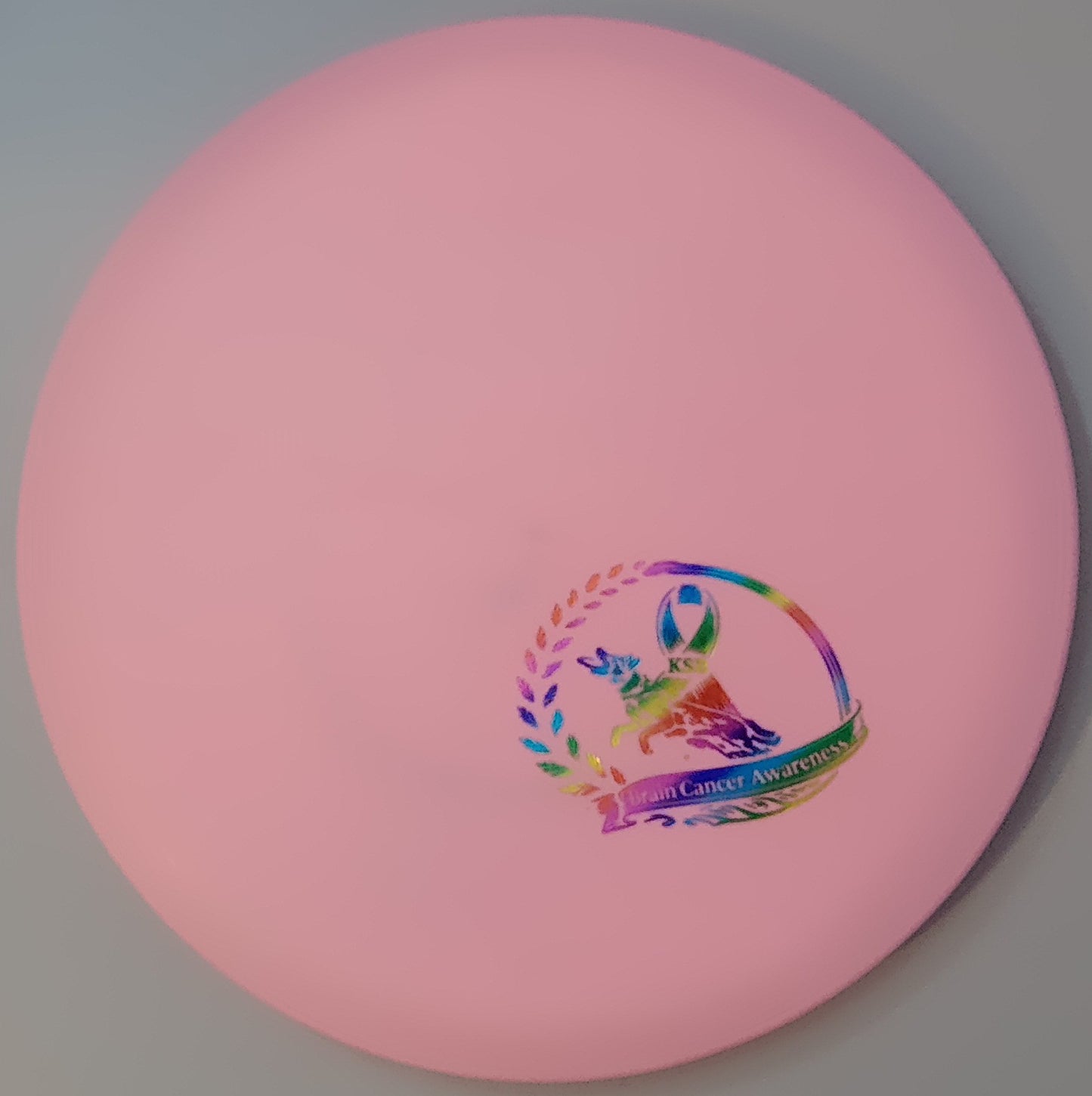 Brain Cancer Awareness SCCA Fundraiser Sure Grip Wayfinder