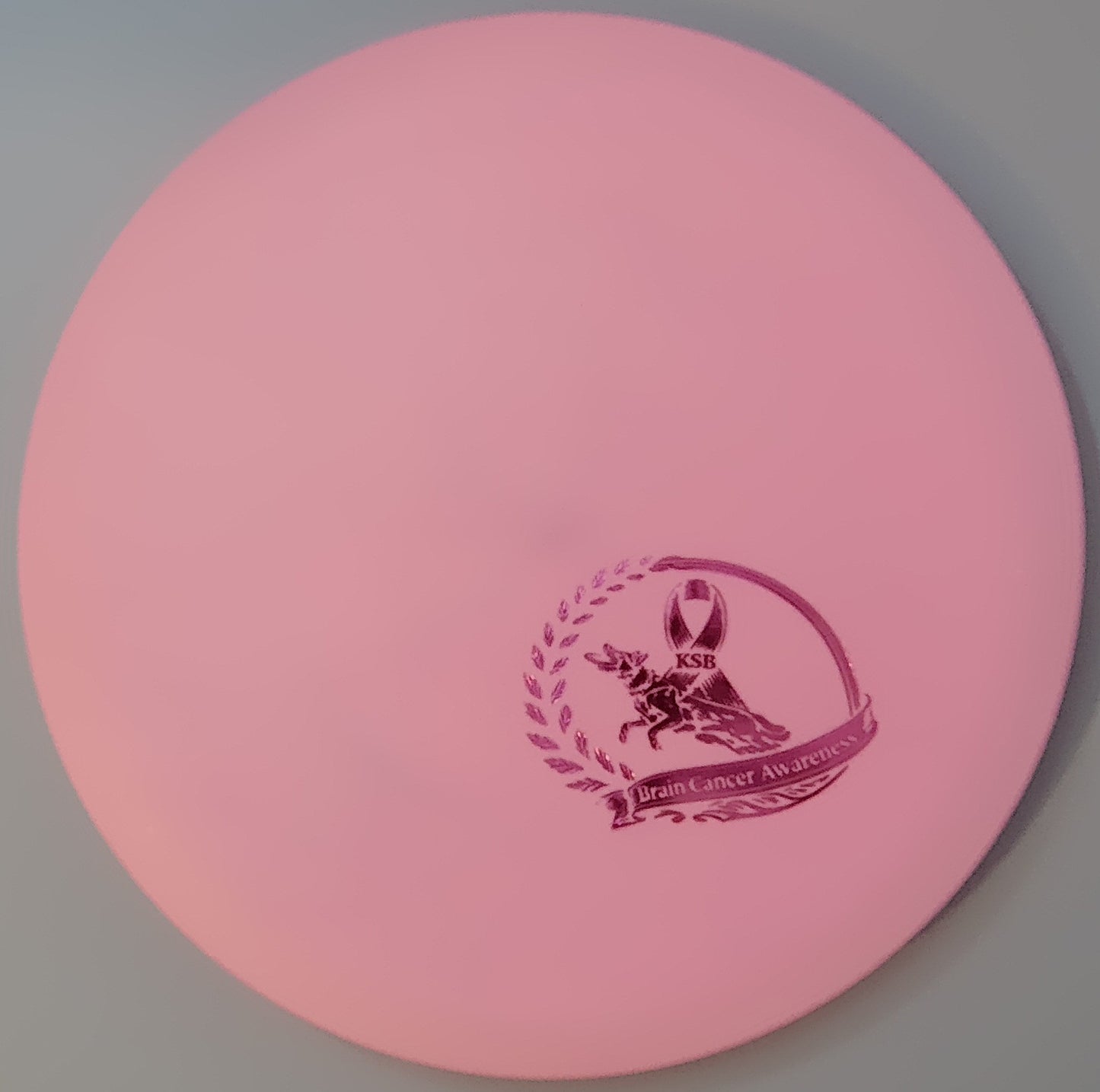 Brain Cancer Awareness SCCA Fundraiser Sure Grip Wayfinder
