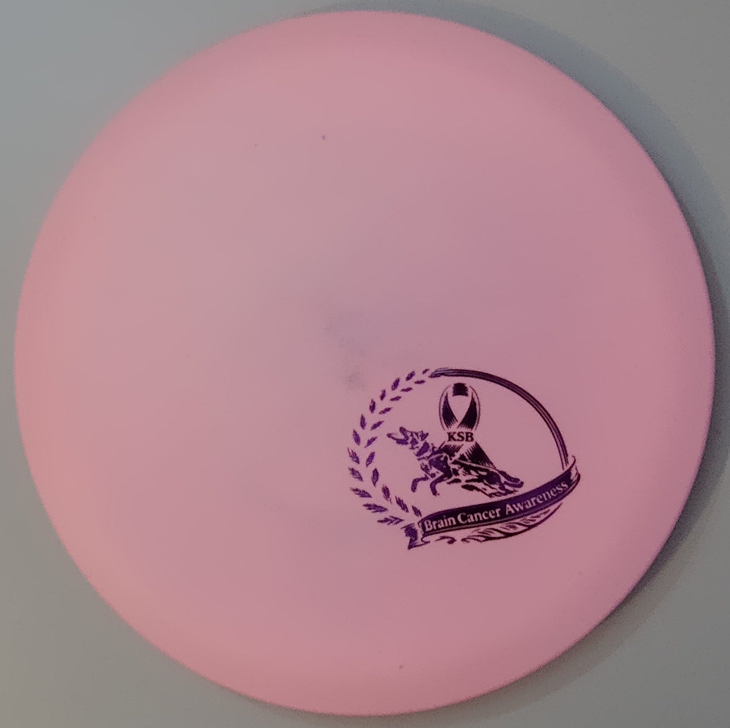 Brain Cancer Awareness SCCA Fundraiser Sure Grip Wayfinder