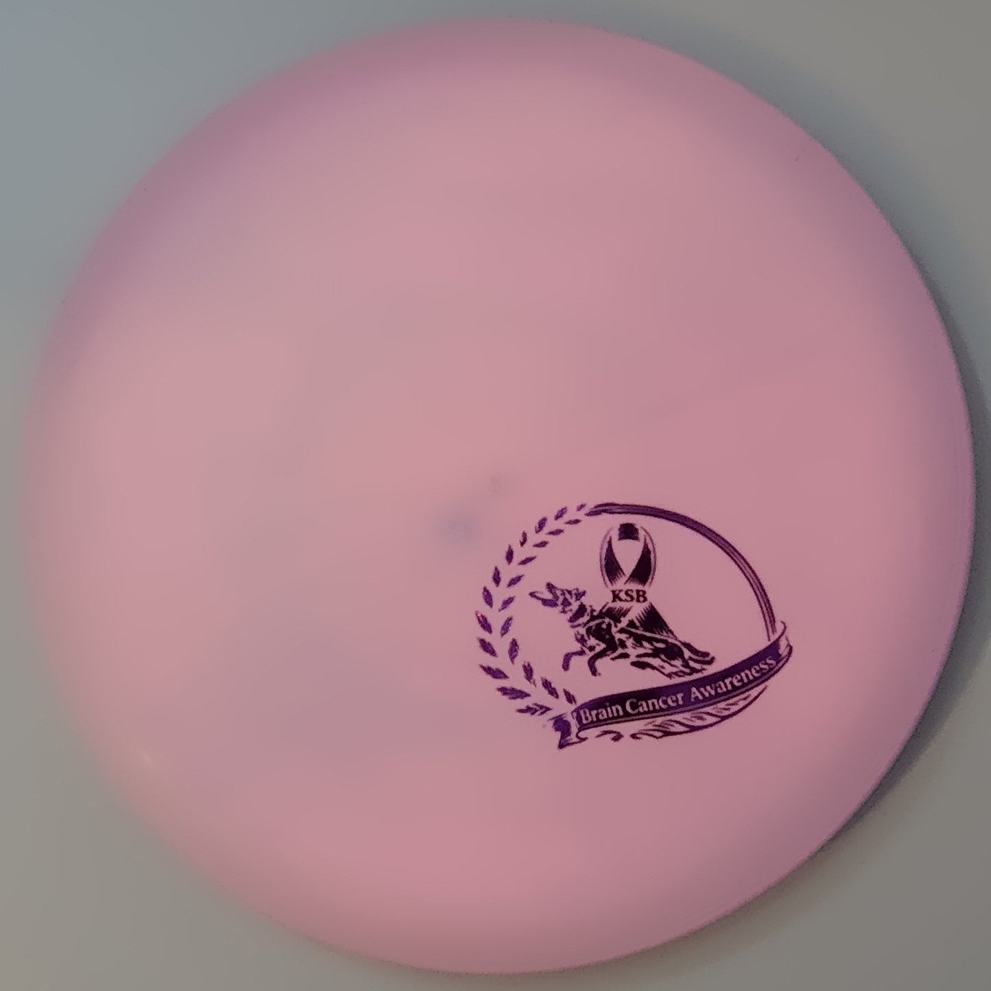 Brain Cancer Awareness SCCA Fundraiser Sure Grip Wayfinder