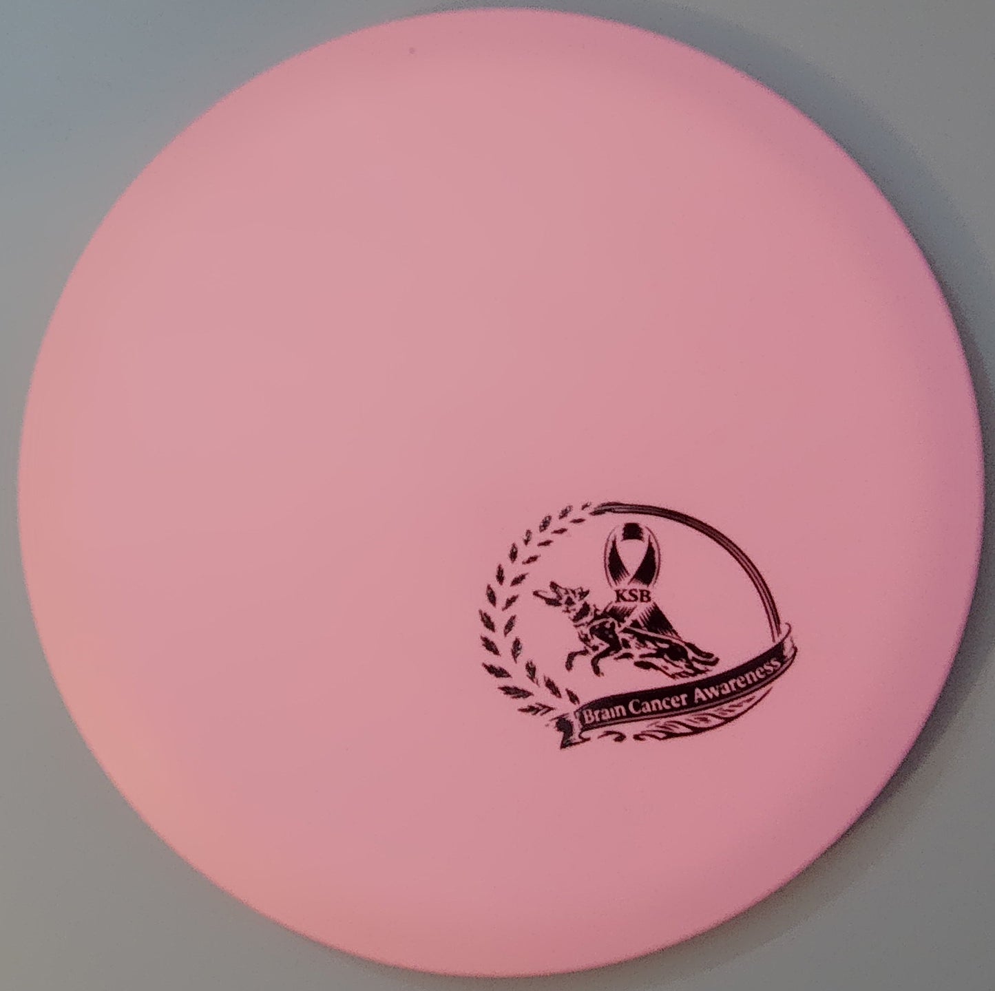 Brain Cancer Awareness SCCA Fundraiser Sure Grip Wayfinder