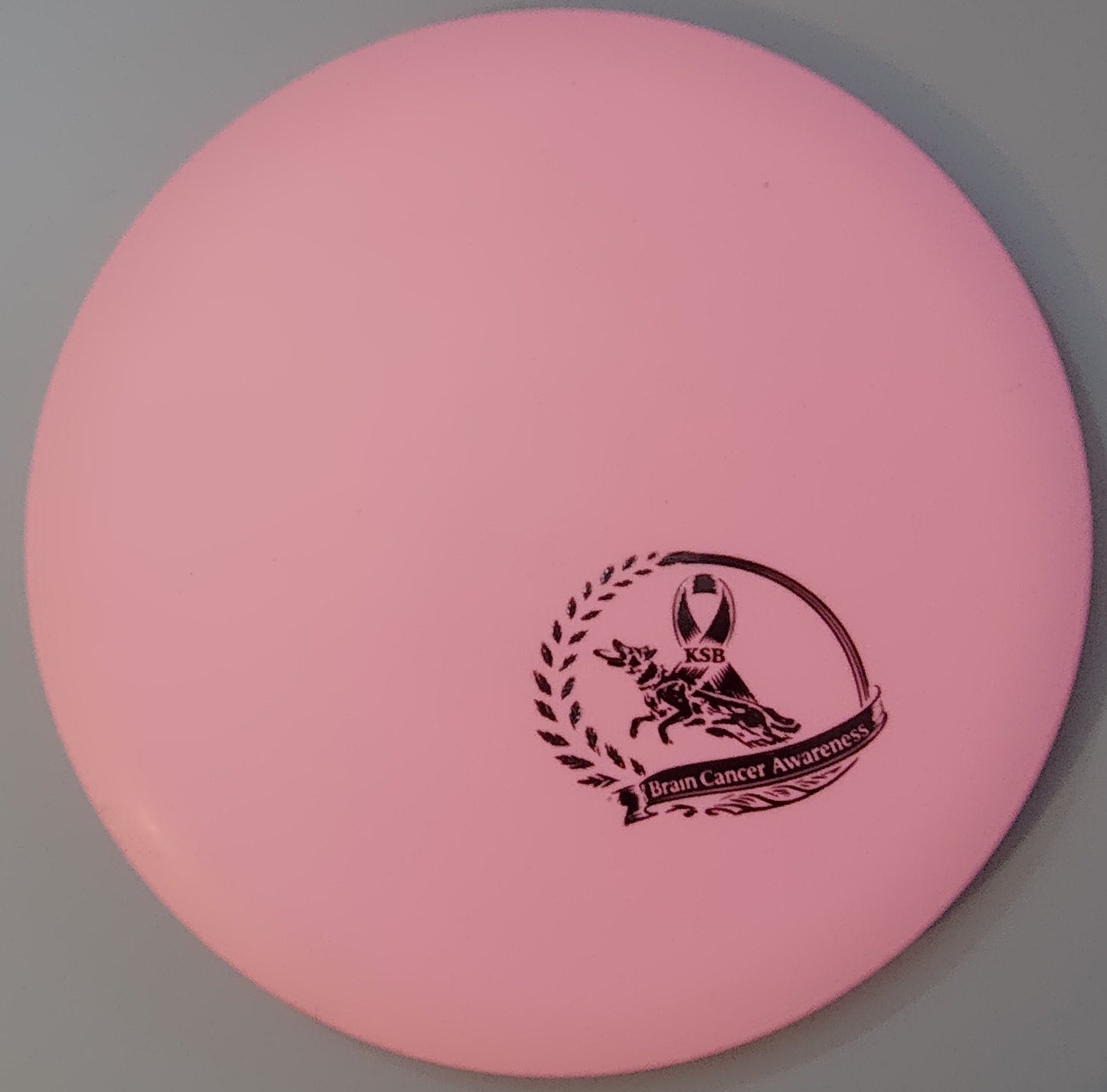 Brain Cancer Awareness SCCA Fundraiser Sure Grip Wayfinder